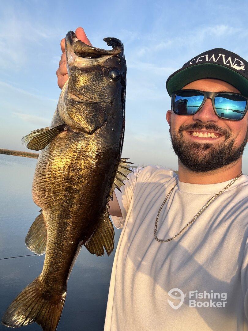 Angler proudly displaying a large Largemouth Bass caught during a serene fishing trip on calm waters.