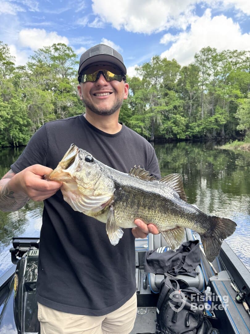 Angler proudly displaying a large Largemouth Bass while fishing in a scenic freshwater environment.
