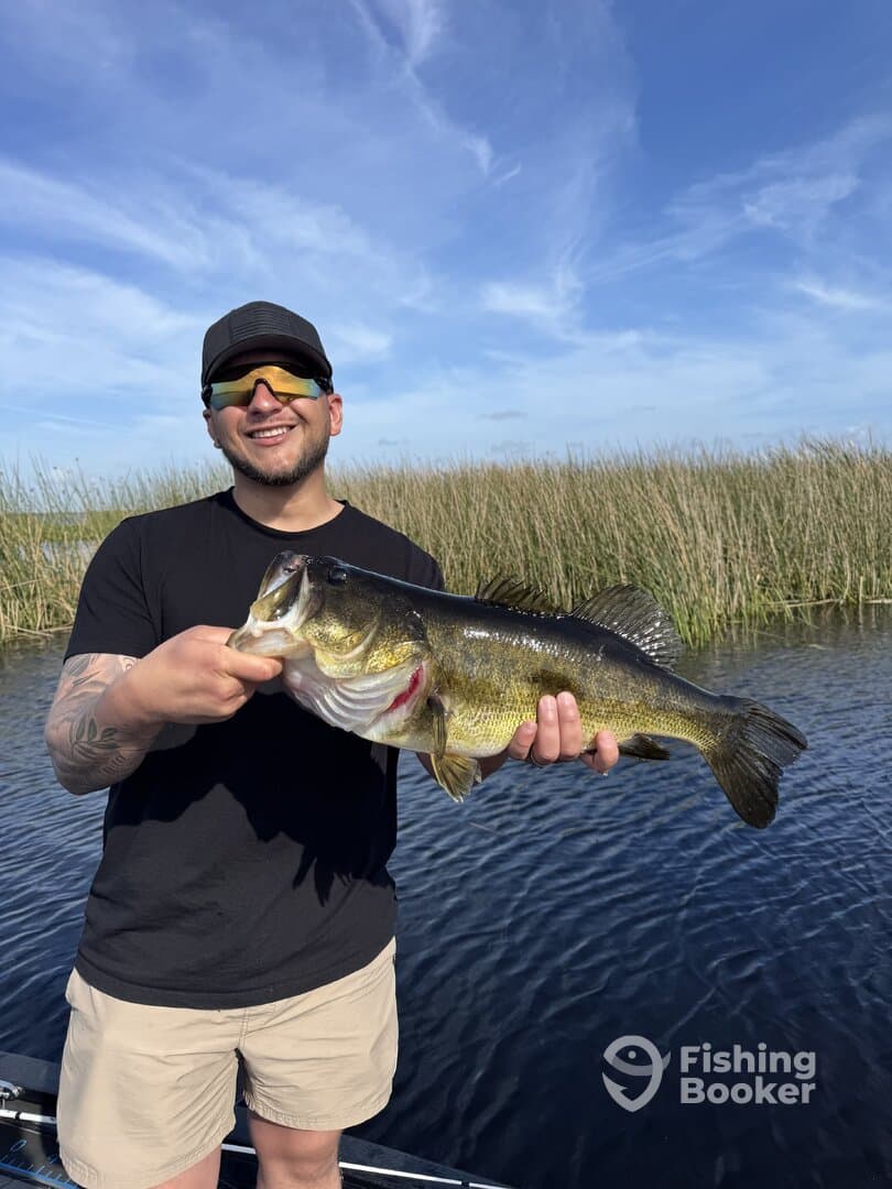 Angler proudly displaying a large Largemouth Bass while fishing in a scenic freshwater environment.