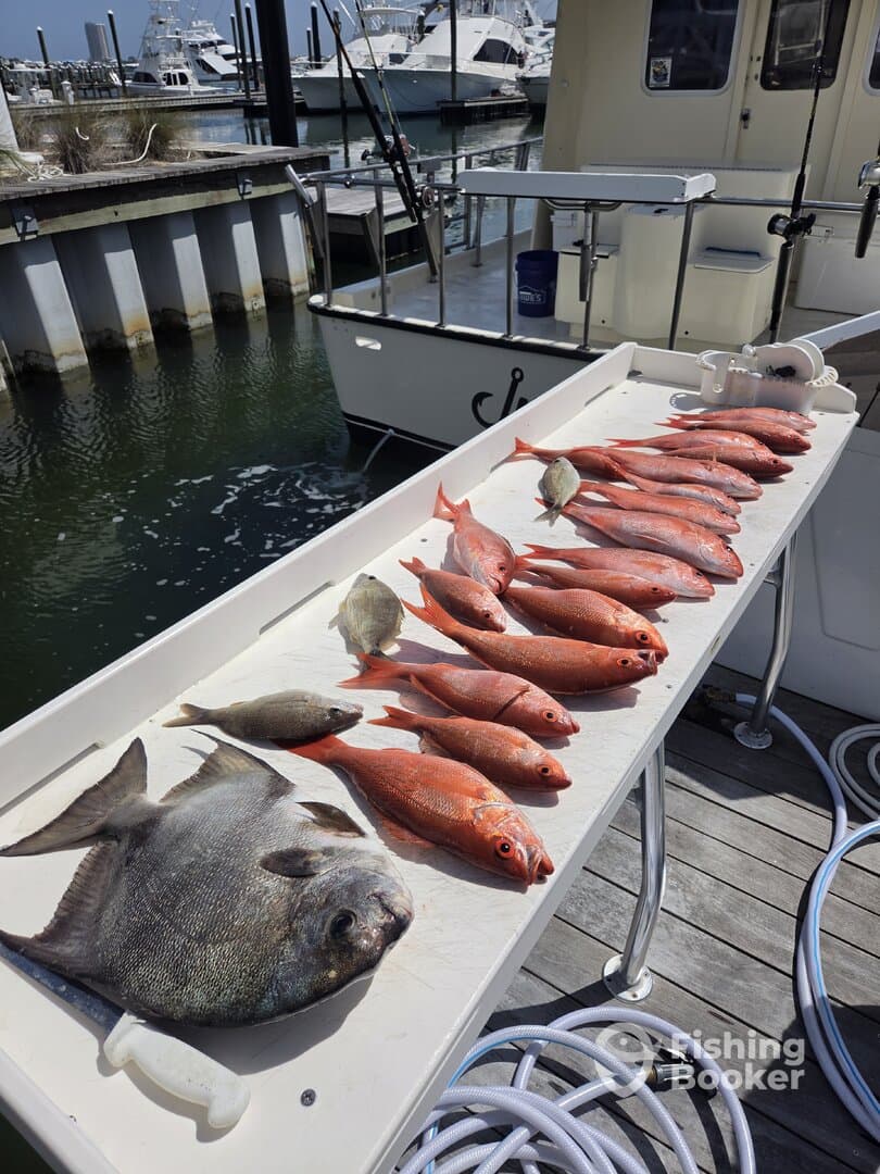 A variety of fish including Red Snapper and a large Flounder displayed on a fillet table at the dock, showcasing a successful fishing trip.