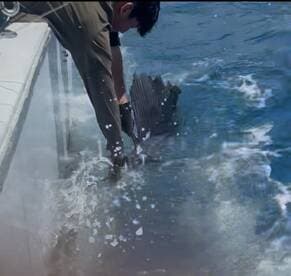 An angler actively reeling in a large fish while fishing from a boat, showcasing the excitement of sport fishing.
