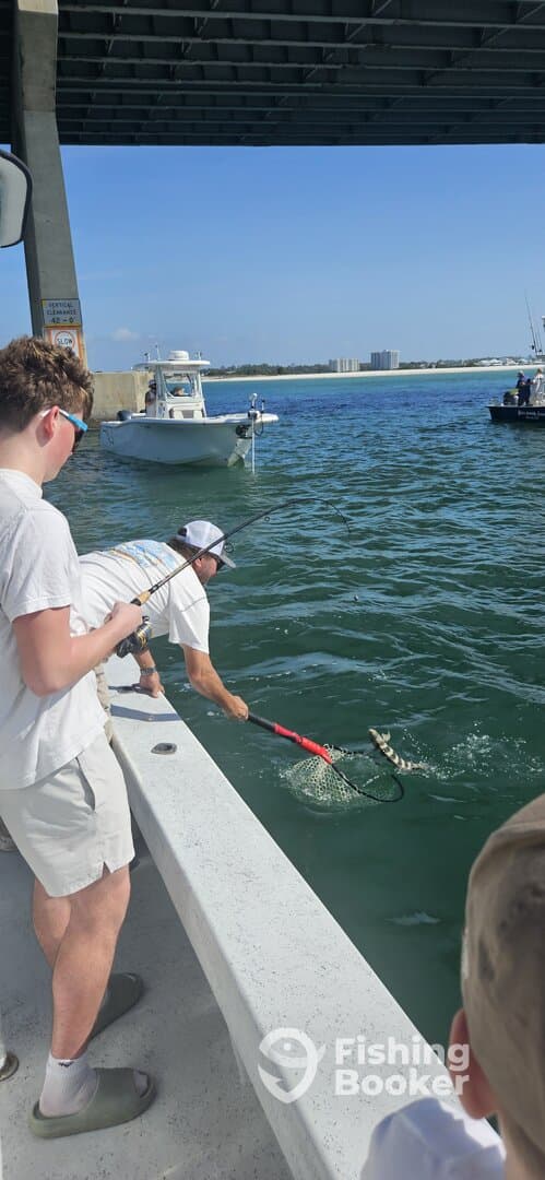 A young angler is reeling in a fish using a net while fishing from a boat under a bridge, showcasing an exciting moment on the water.