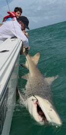A young angler and an adult are engaged in reeling in a large shark while fishing in open waters, showcasing an exciting moment on the boat.