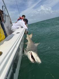 A young angler and an adult are reeling in a large shark while fishing from a boat in open water, showcasing an exciting catch.