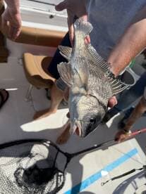 A proud angler displaying a freshly caught fish on a boat, showcasing a successful fishing trip.