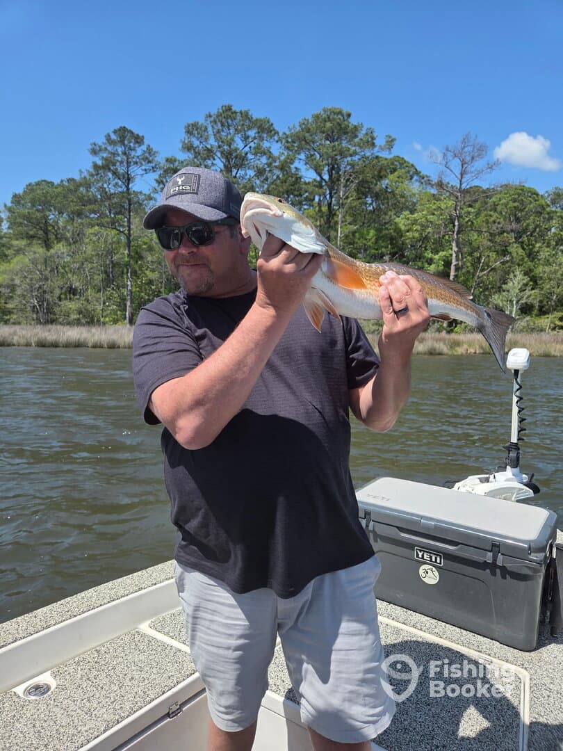 Angler proudly displaying a Redfish while fishing on a sunny day, surrounded by lush greenery.