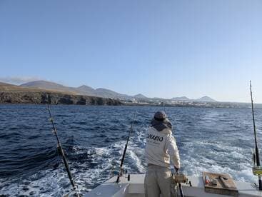 A fisherman casting lines from a boat in a scenic coastal environment, with mountains in the background.