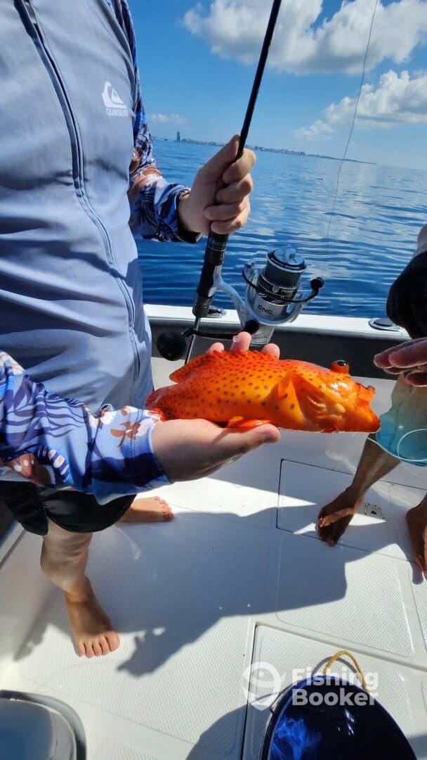 Angler holding a vibrant orange fish, likely a Grouper, while fishing on a sunny day in open waters.