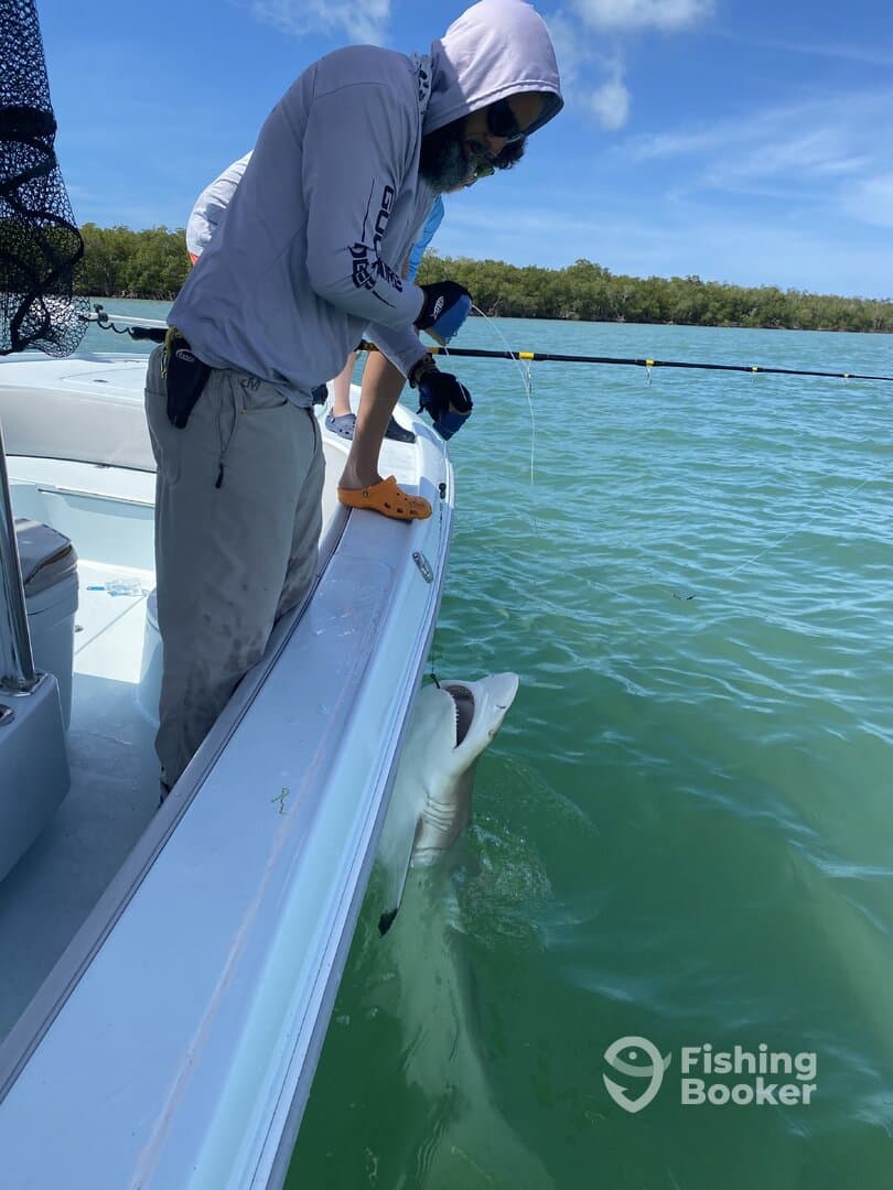 Angler reeling in a shark while fishing from a boat in clear waters, showcasing an exciting catch in a tropical environment.