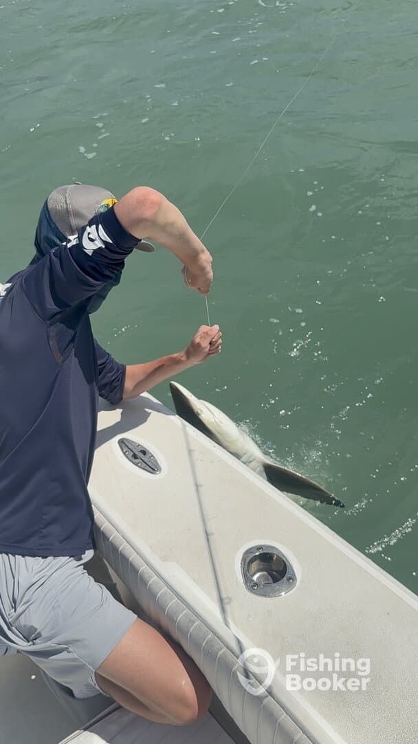 A young angler is actively reeling in a shark while fishing from a boat, showcasing the excitement of sport fishing.