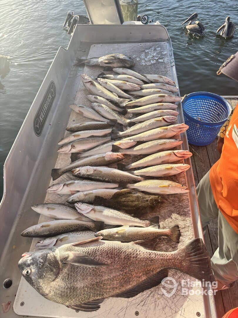 Captain Mike is the FISH WHISPERER!