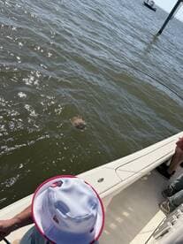 Angler casting a line while a stingray swims near the boat in a sunny fishing environment.