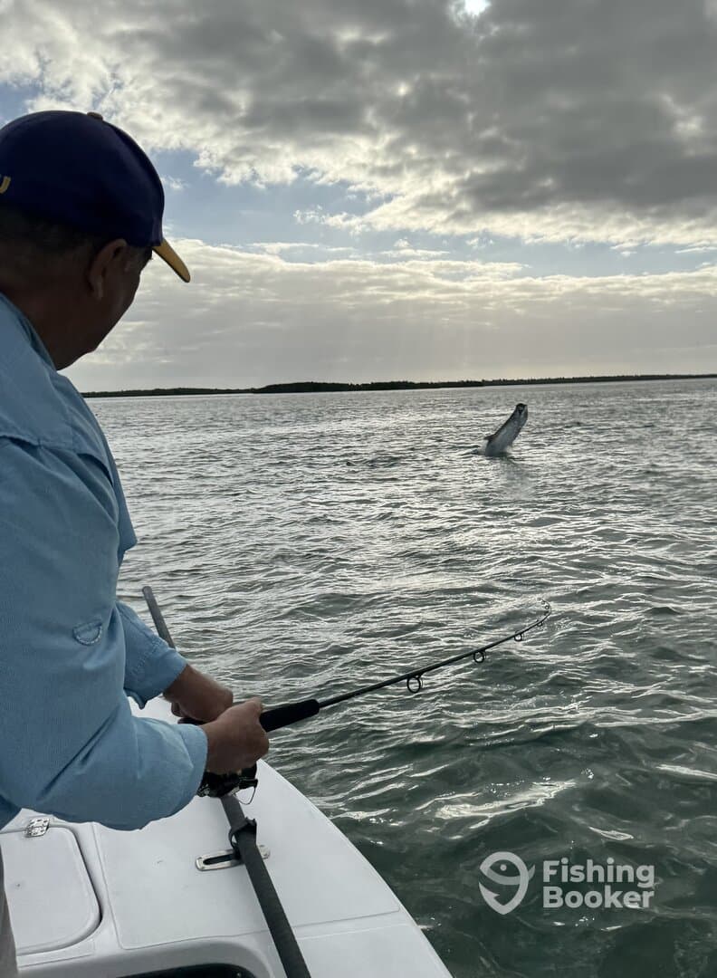 An angler casting from a boat as a fish jumps out of the water, showcasing an exciting moment during a fishing trip.