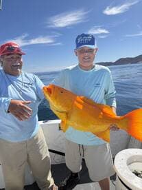 A young angler proudly displays a vibrant yellow fish, likely a Mahi Mahi, while fishing with a companion on a sunny day.