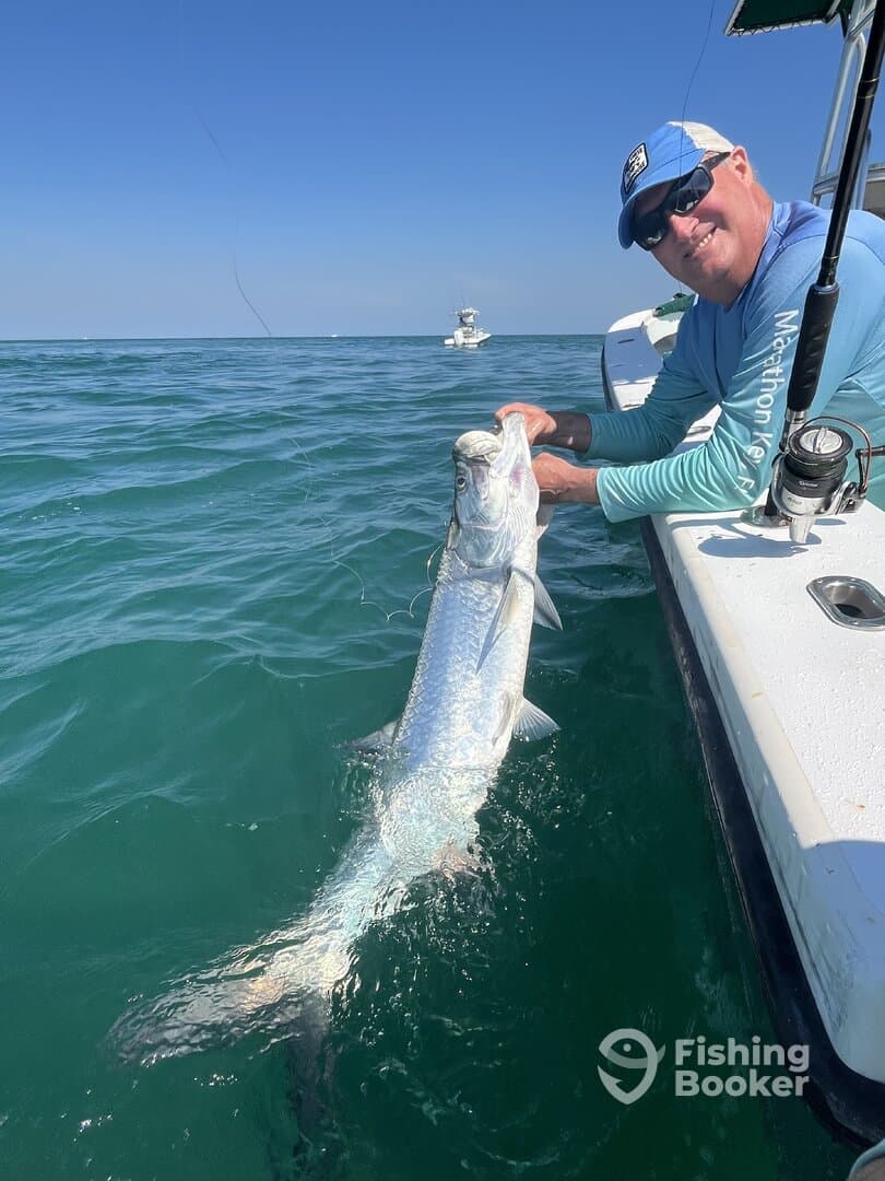 Angler reeling in a large Tarpon while fishing in clear waters, showcasing an exciting moment on the boat.