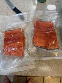 Vacuum-sealed salmon fillets ready for storage, showcasing the fresh catch from a recent fishing trip.