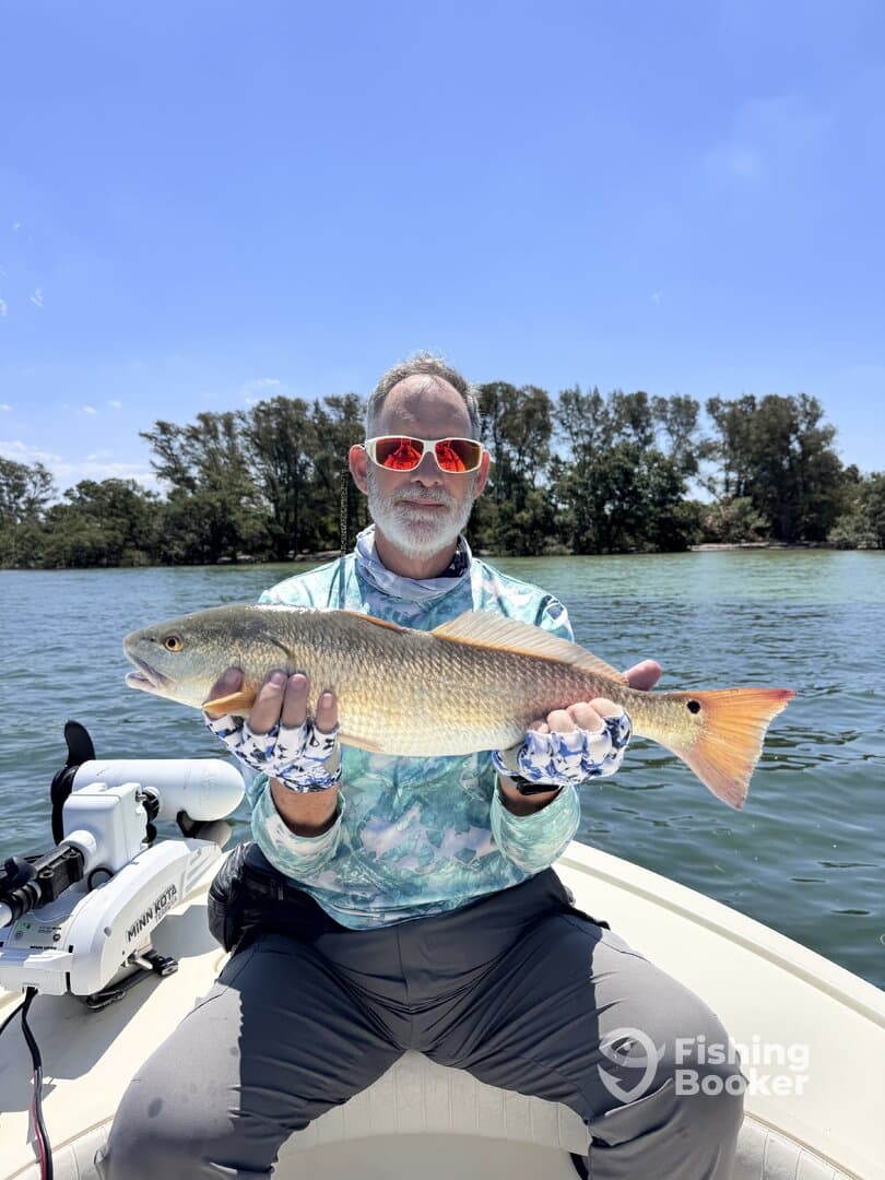 Angler proudly displaying a Redfish while fishing on a sunny day, surrounded by lush greenery along the water.
