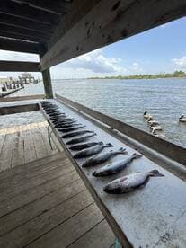 A variety of fish laid out on a cleaning table at a dock, showcasing a successful fishing trip.