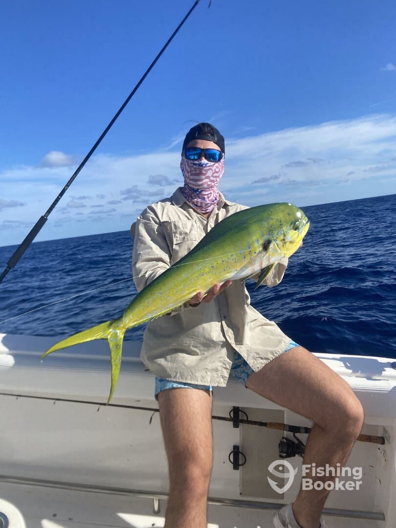Angler proudly displaying a vibrant Mahi Mahi while fishing offshore, showcasing a beautiful day on the water.