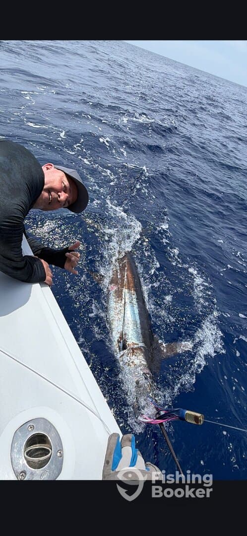 Angler actively reeling in a large fish while on a deep-sea fishing trip, showcasing the excitement of the catch.