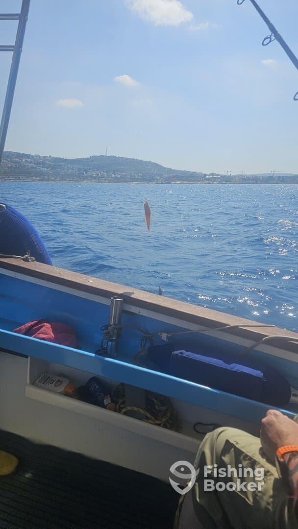 An angler is actively fishing from a boat, with a glimpse of a fish visible in the water, set against a scenic coastal backdrop.