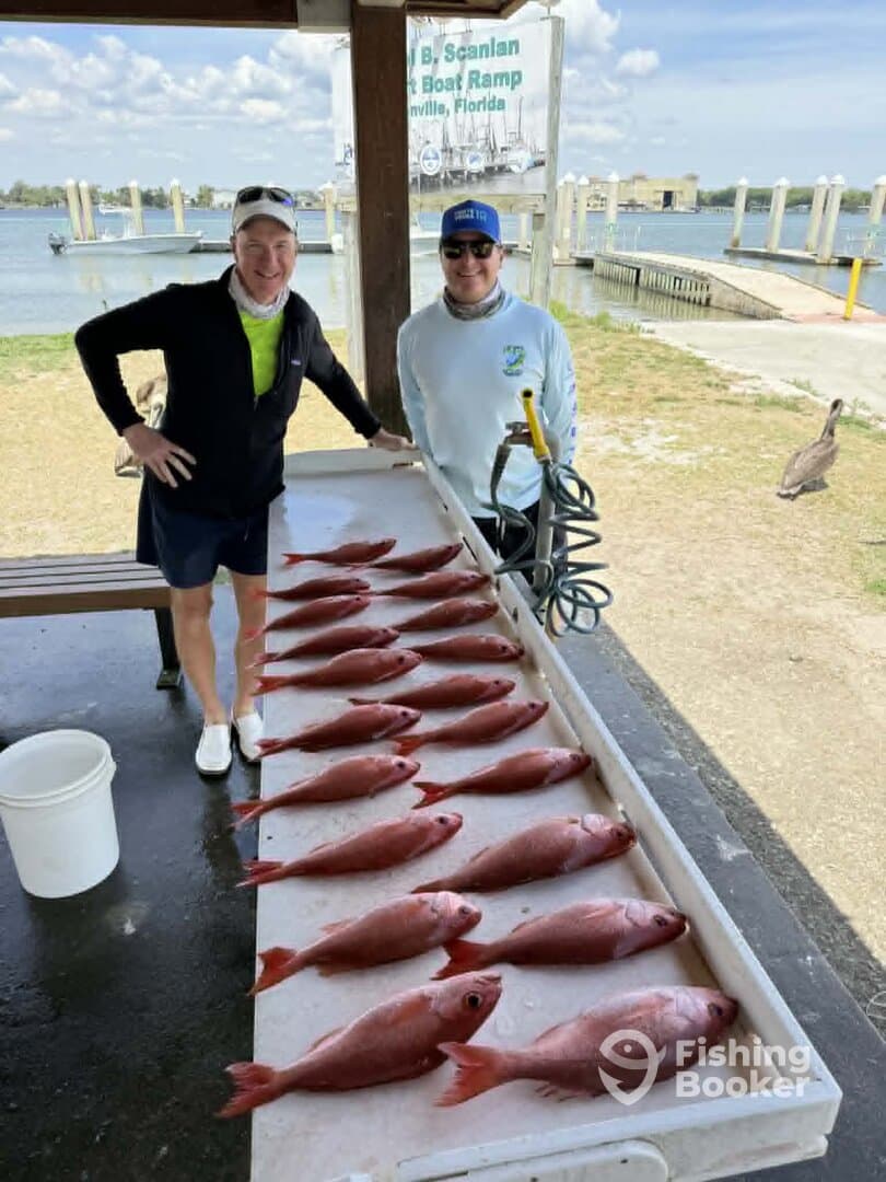 Two anglers proudly displaying a catch of multiple Red Snapper on a cleaning table at a boat ramp in Jacksonville, Florida.