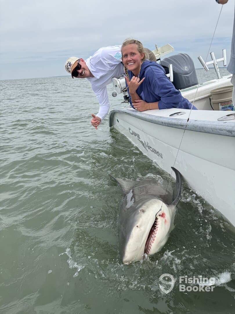 Two anglers celebrating while reeling in a large shark during a fishing trip on a boat.