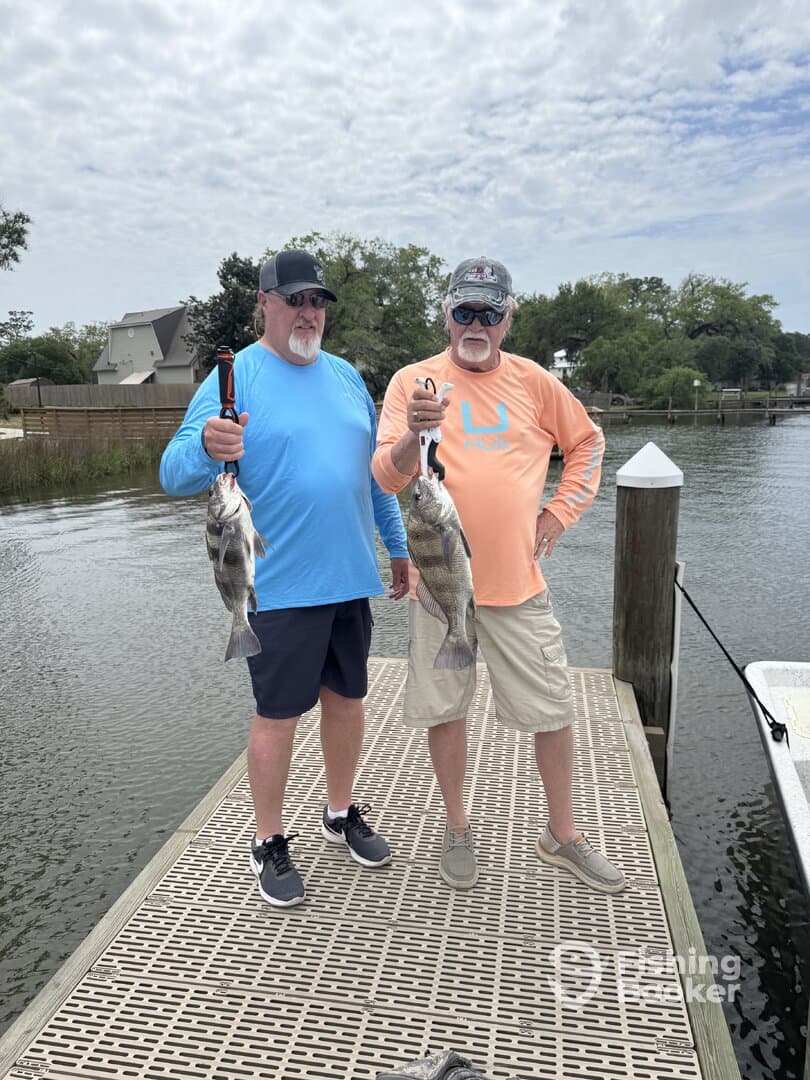 Two anglers proudly displaying their catch of Black Drum on a dock, showcasing a successful day of fishing.