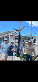 Three anglers proudly displaying a large Marlin caught during a fishing trip, with a boat in the background.