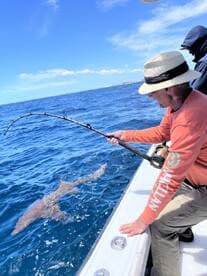 An angler reeling in a shark while fishing offshore, showcasing the excitement of deep-sea fishing.