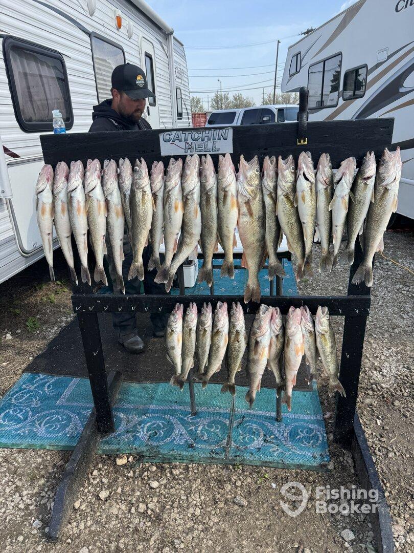 A fisherman stands beside a display of freshly caught Walleye arranged on a catch board, showcasing a successful fishing trip.