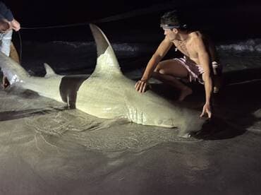 A young angler poses with a large shark on the beach at night, showcasing the thrill of night fishing.