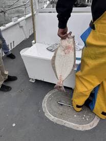 Angler holding a freshly caught Flounder aboard a fishing boat, showcasing the catch in a marine environment.