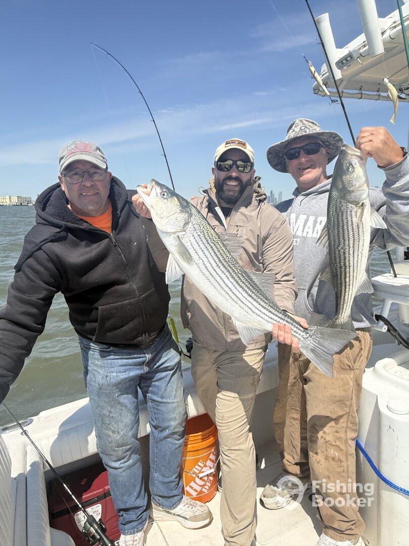 Three anglers proudly displaying their catch of striped bass while fishing on a boat, showcasing a successful day on the water.