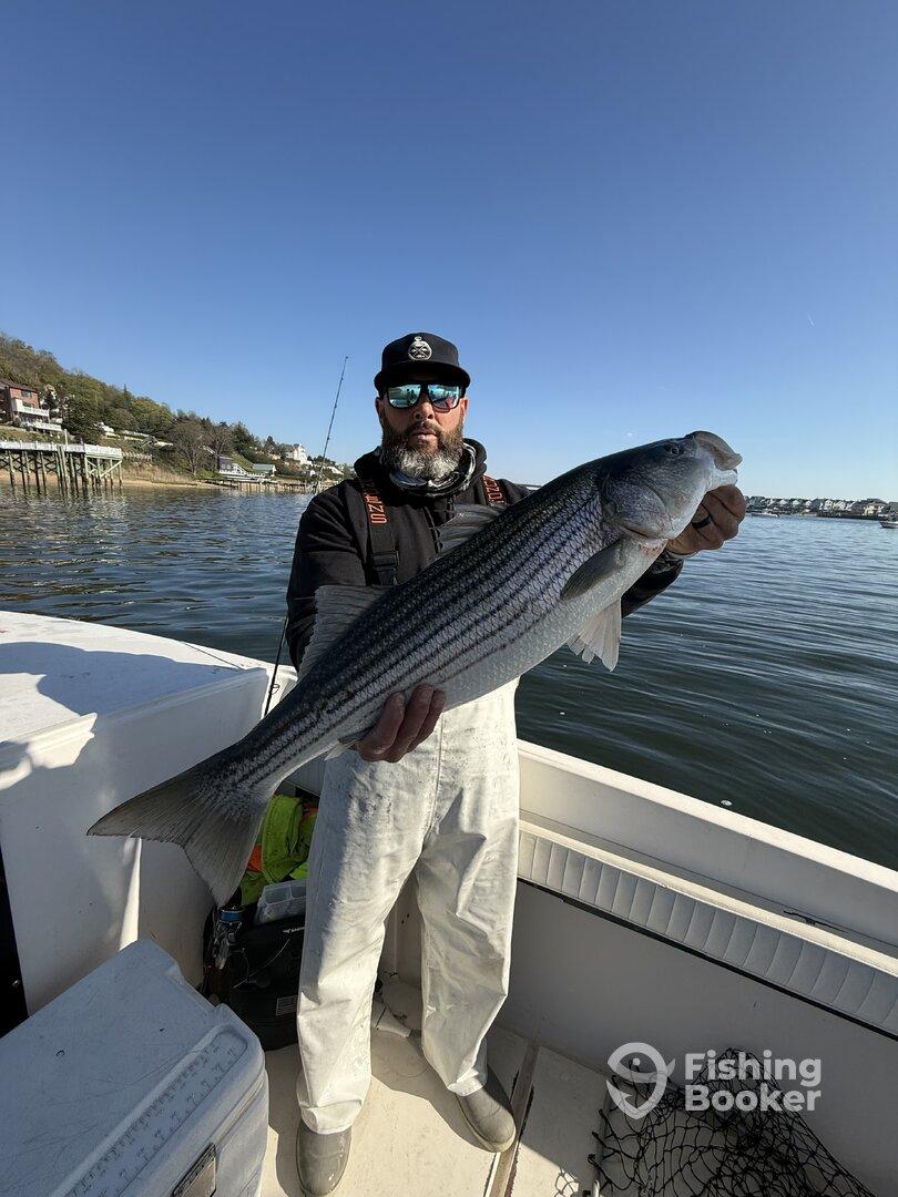 Angler proudly displaying a large Striped Bass while fishing from a boat on a clear day.