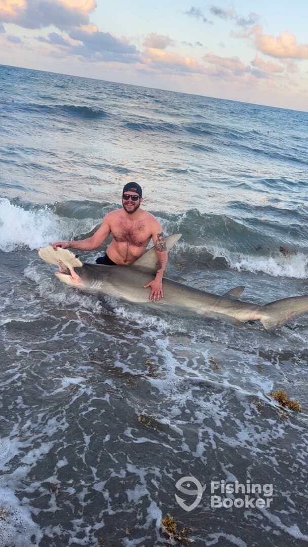 Angler proudly displaying a large shark while standing in the surf, showcasing a successful catch during a beach fishing trip.