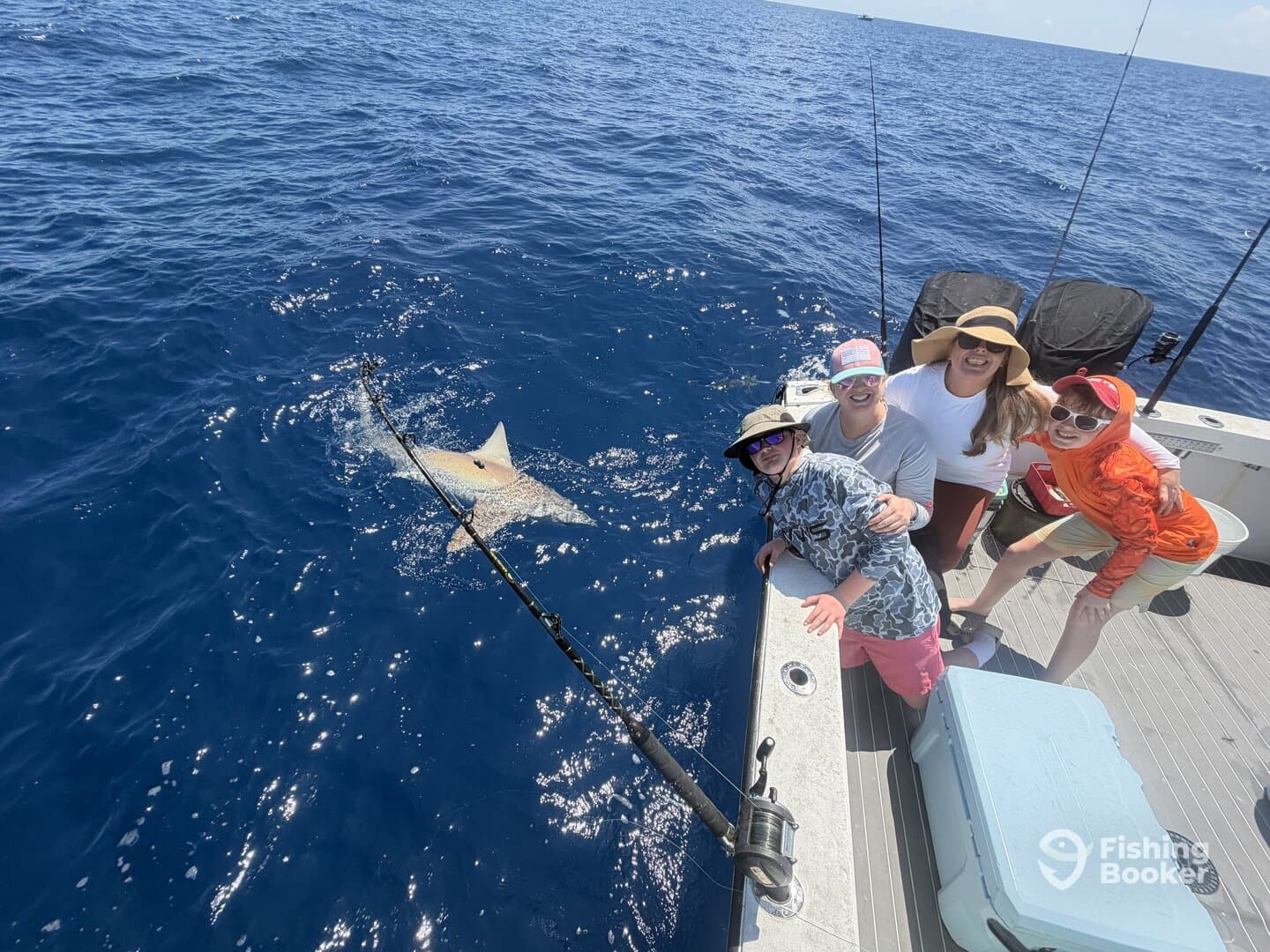 A group of four anglers enjoying a thrilling moment while fishing for sharks in deep blue waters, showcasing camaraderie and excitement.