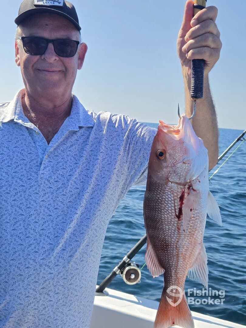 An angler proudly displaying a freshly caught Red Snapper while fishing offshore.