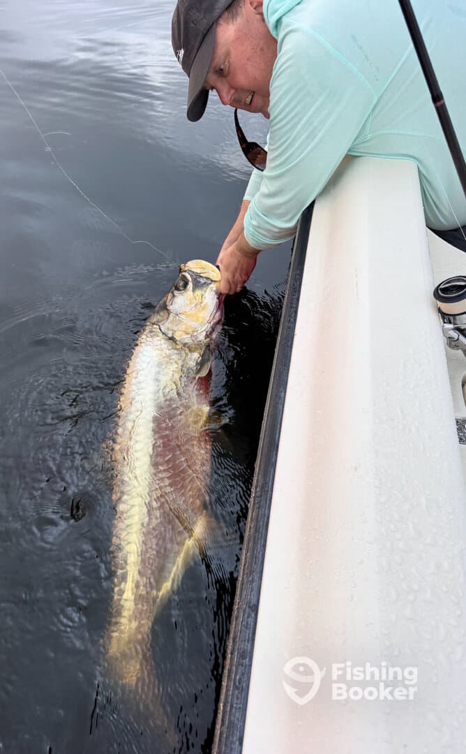 An angler is engaged in reeling in a large fish, showcasing the excitement of fishing in a calm water environment.