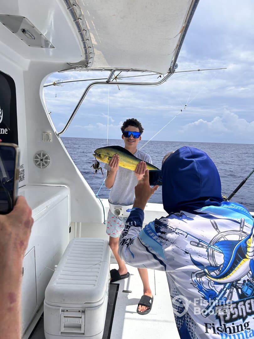 would charter again  