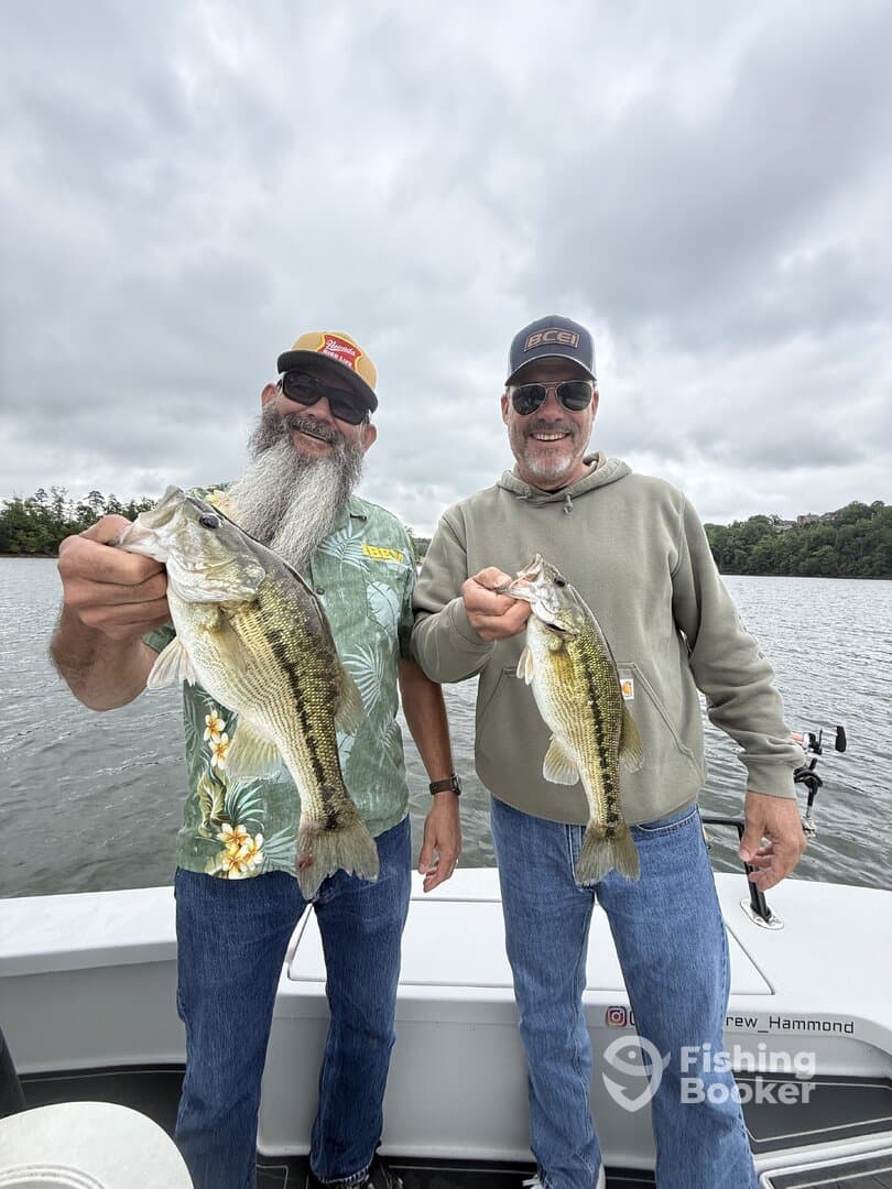Two anglers proudly displaying their catch of large Largemouth Bass while fishing on a lake.