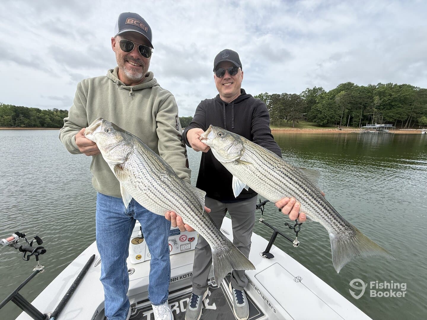 Two anglers proudly displaying their catch of striped bass while fishing on a serene lake.