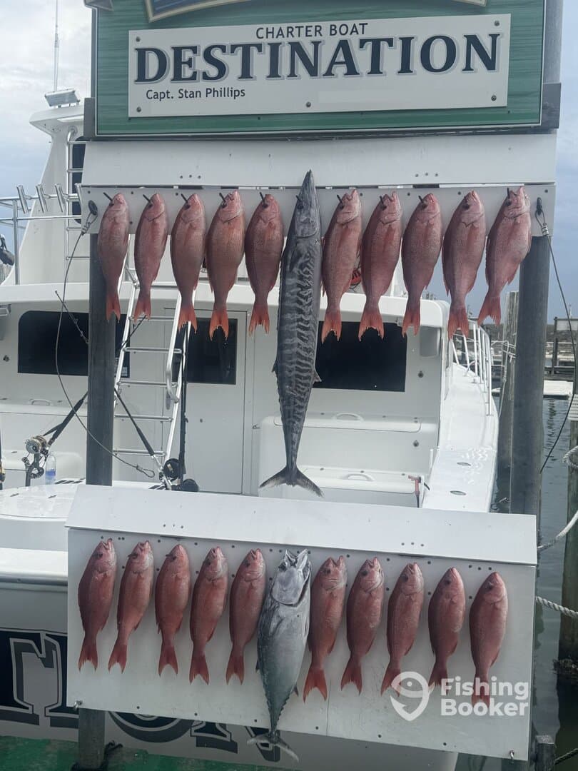 A display of freshly caught fish, including Snapper and a Barracuda, arranged on a catch board at a charter boat dock.