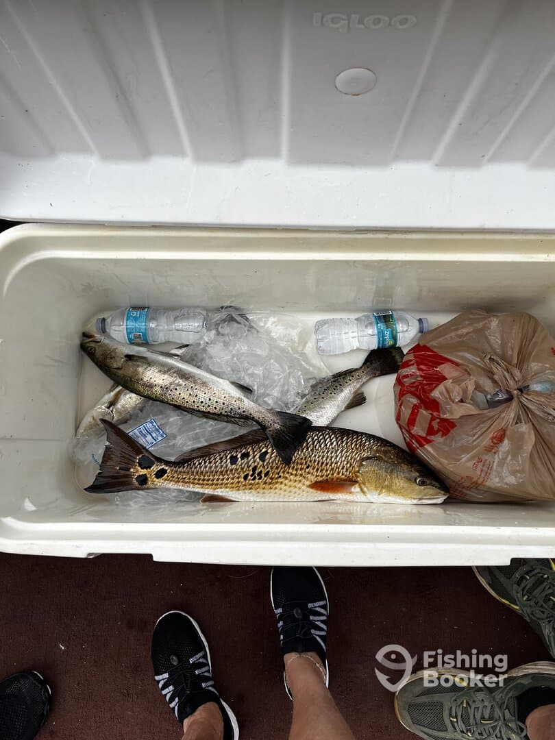 Great fishing experience!