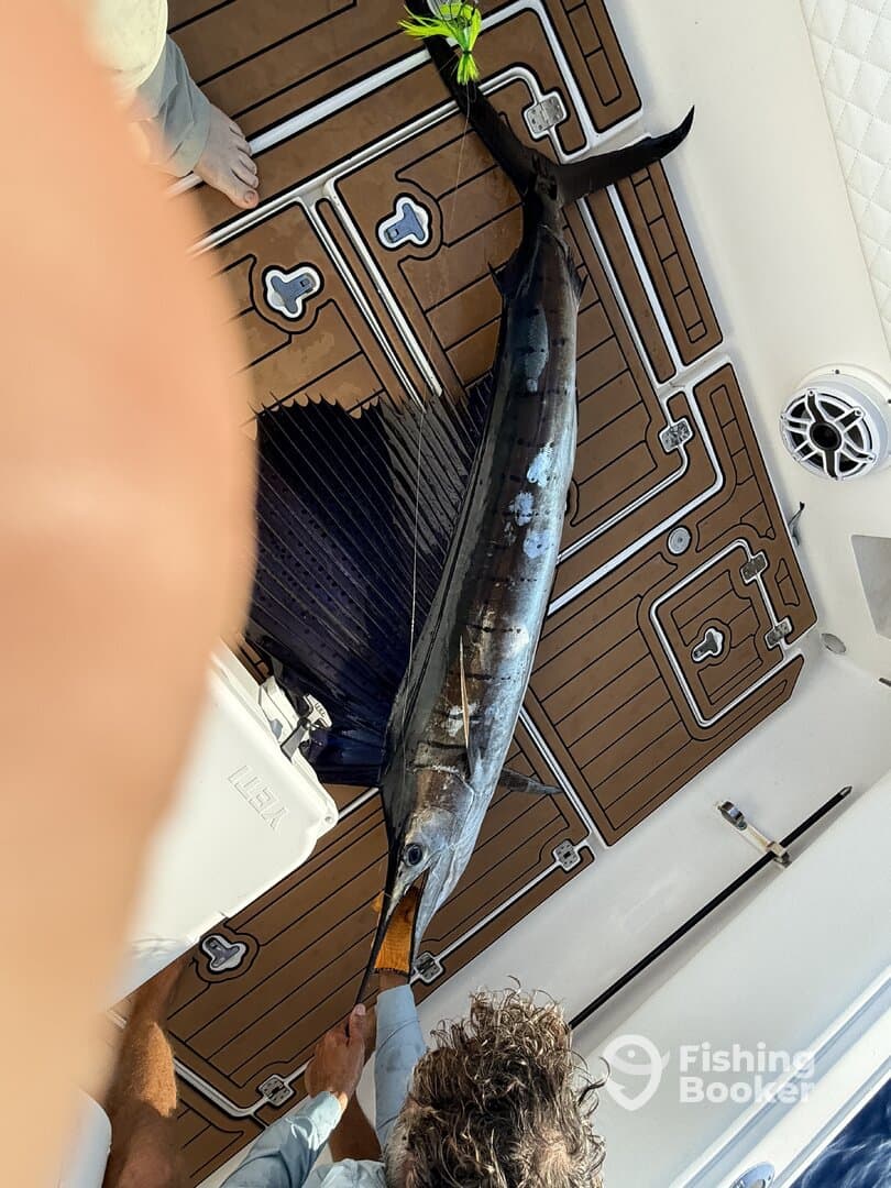 A proud angler holding a large Marlin on the deck of a sportfishing boat, showcasing a successful deep-sea fishing trip.