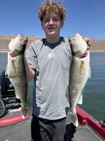A young angler proudly displaying two large Walleye caught during a fishing trip on a sunny day.