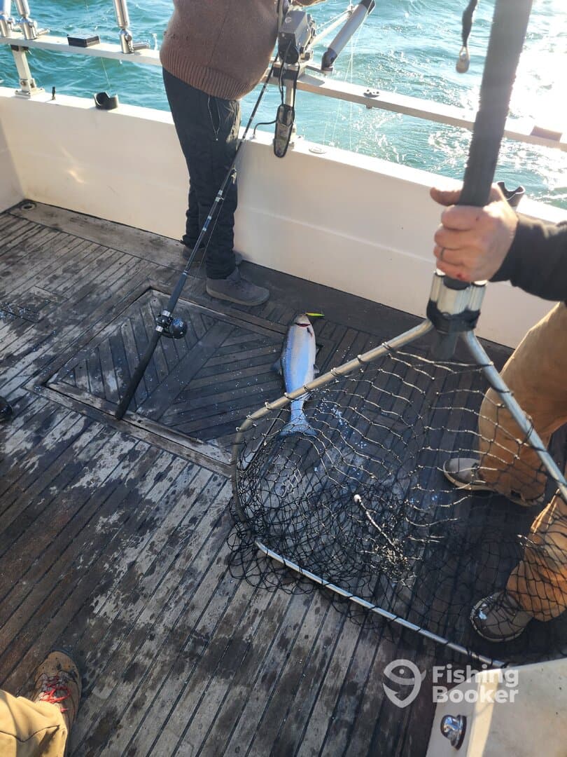 Anglers actively fishing on a boat, with a freshly caught fish on the deck, showcasing the excitement of the catch.