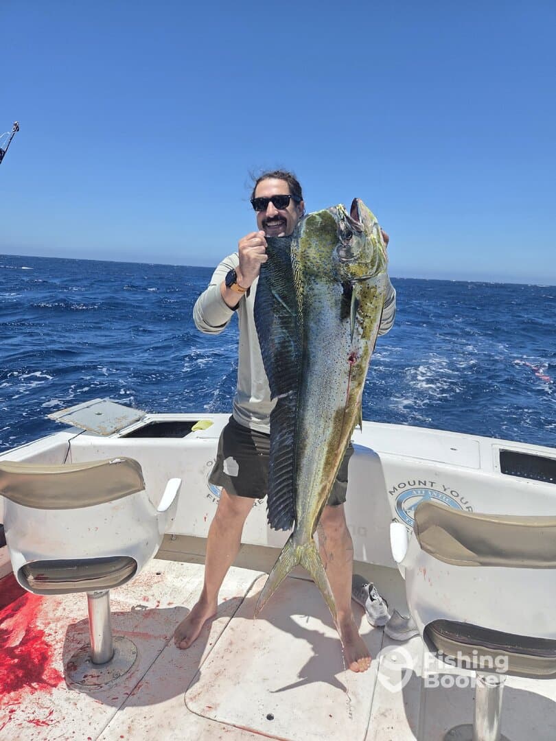 Angler proudly displaying a large Mahi Mahi on a fishing boat in open waters.
