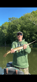 Angler proudly displaying a Northern Pike while fishing on a serene lake surrounded by lush greenery.