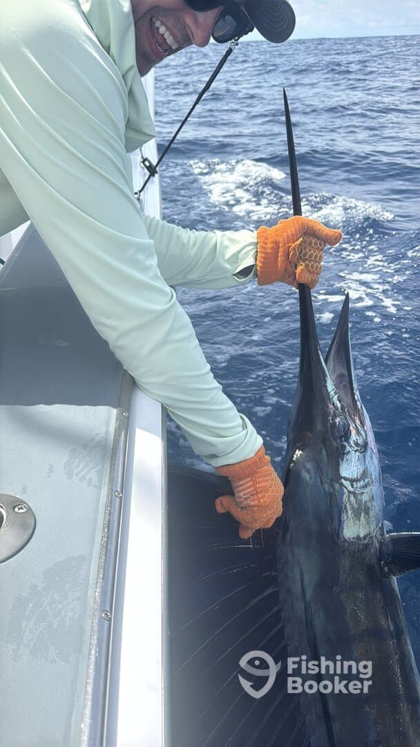 Angler actively reeling in a large Sailfish while fishing in deep blue waters.